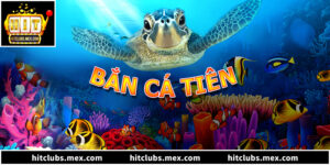 Giải Mã Thuật Toán Nhả Đạn Trong Bắn Cá Tiên Với 5 Bí Mật