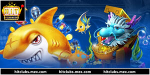 Kho Báu Long Cung: 5 Tuyệt Chiêu Gấp Thép Hiệu Quả